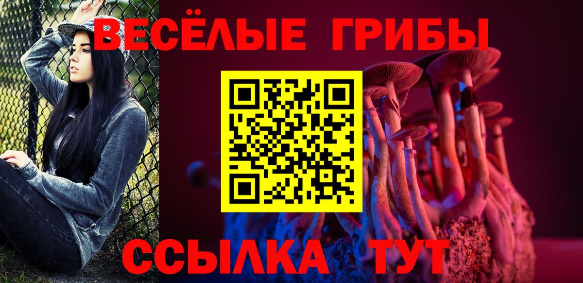 Галлюциногенные грибы Psilocybine cubensis Санкт-Петербург